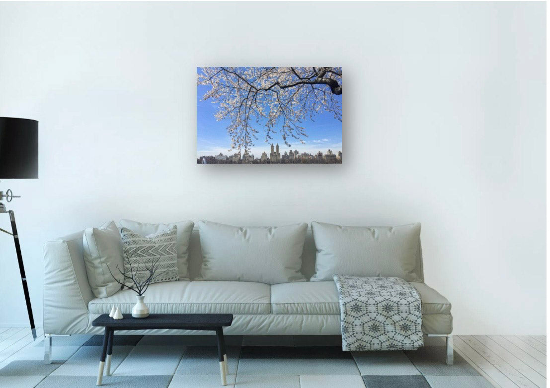 Bloom - Blossom Frame