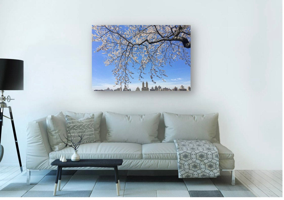 Bloom - Blossom Frame