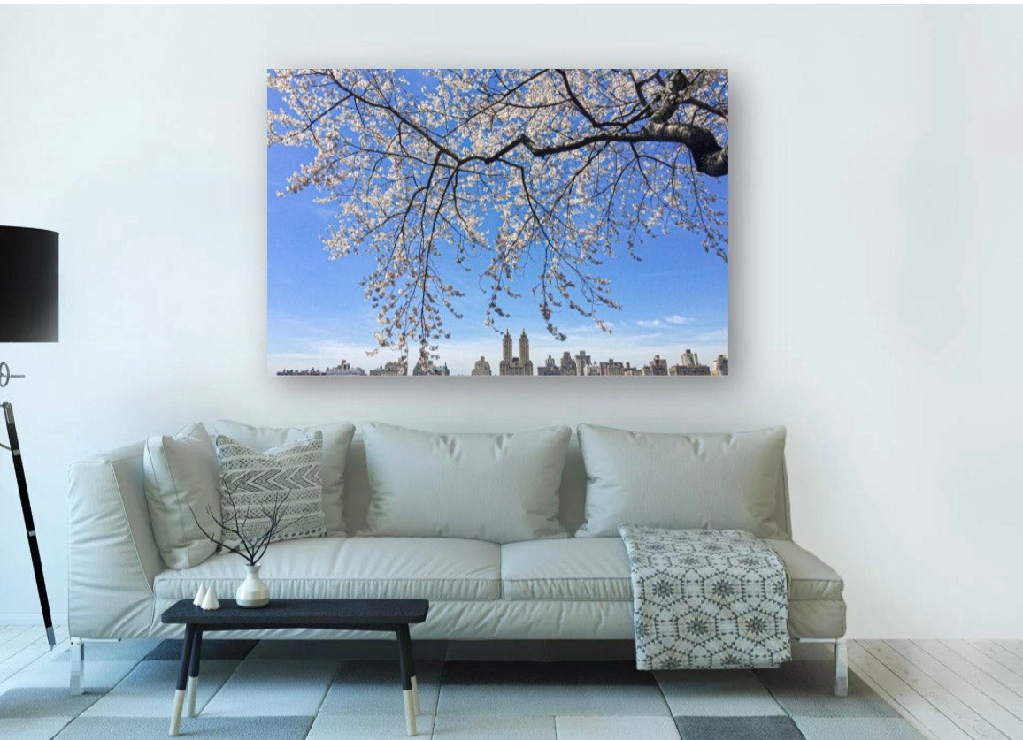 Bloom - Blossom Frame