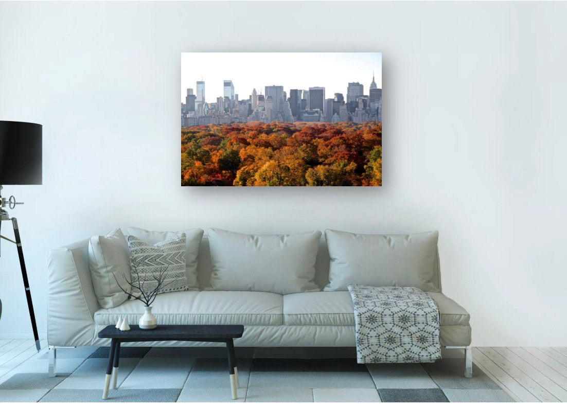 Urban Fall - Outono Intenso