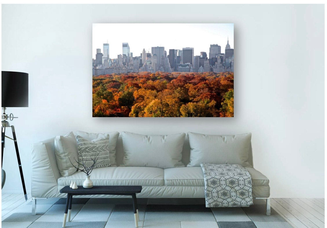 Urban Fall - Outono Intenso