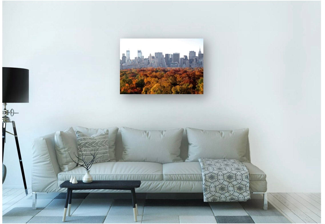 Urban Fall - Outono Intenso