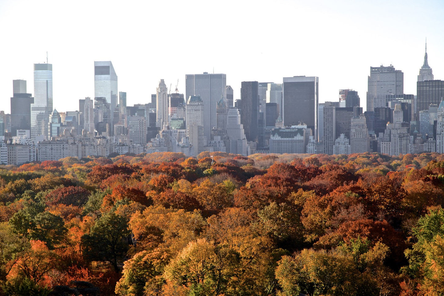 Urban Fall - Outono Intenso