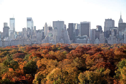 Urban Fall - Outono Intenso